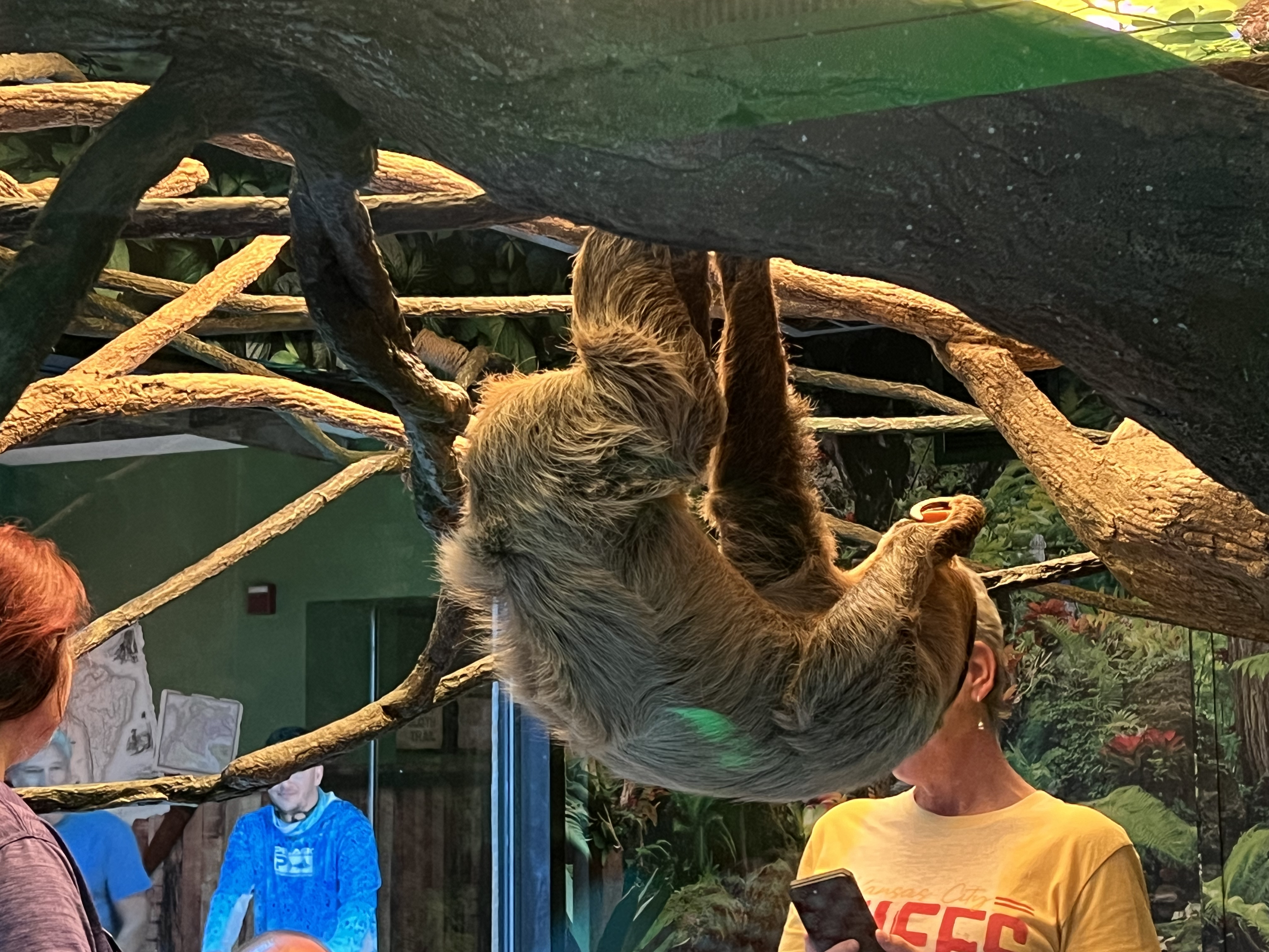 ./2024/10 - Myrtle Beach/IMG_3103.jpg